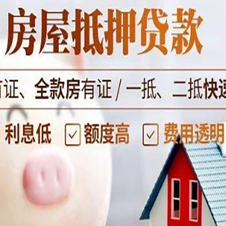 台安贷款助贷公司新渝启服成立时间久
